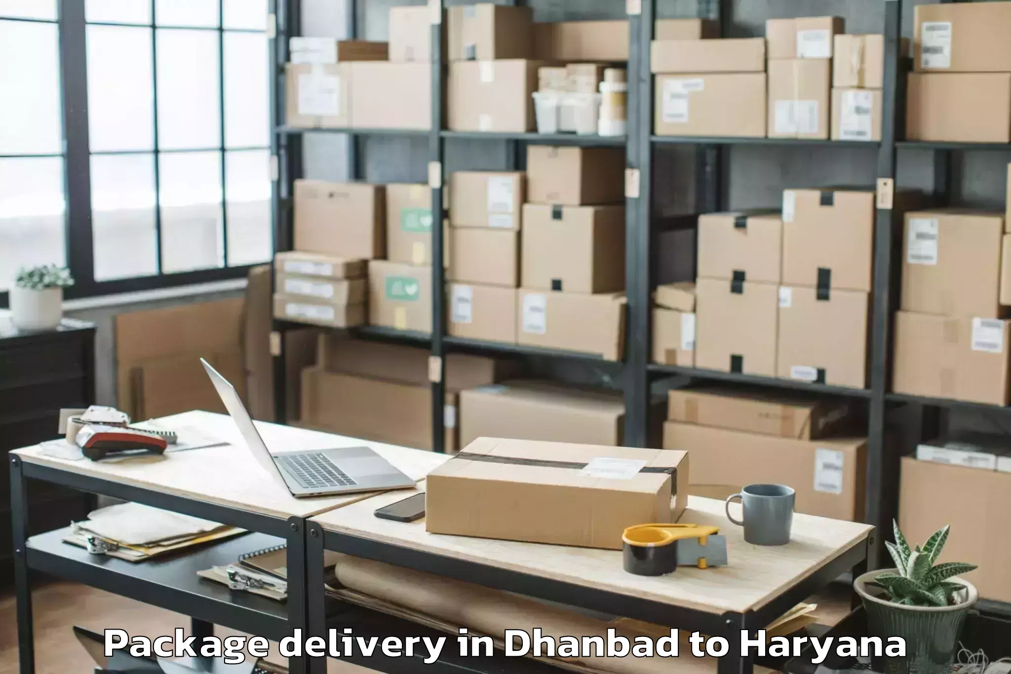 Hassle-Free Dhanbad to Lingayas University Faridabad Package Delivery